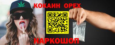 стафф Кудрово