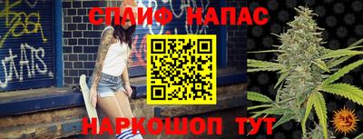 стафф Кудрово